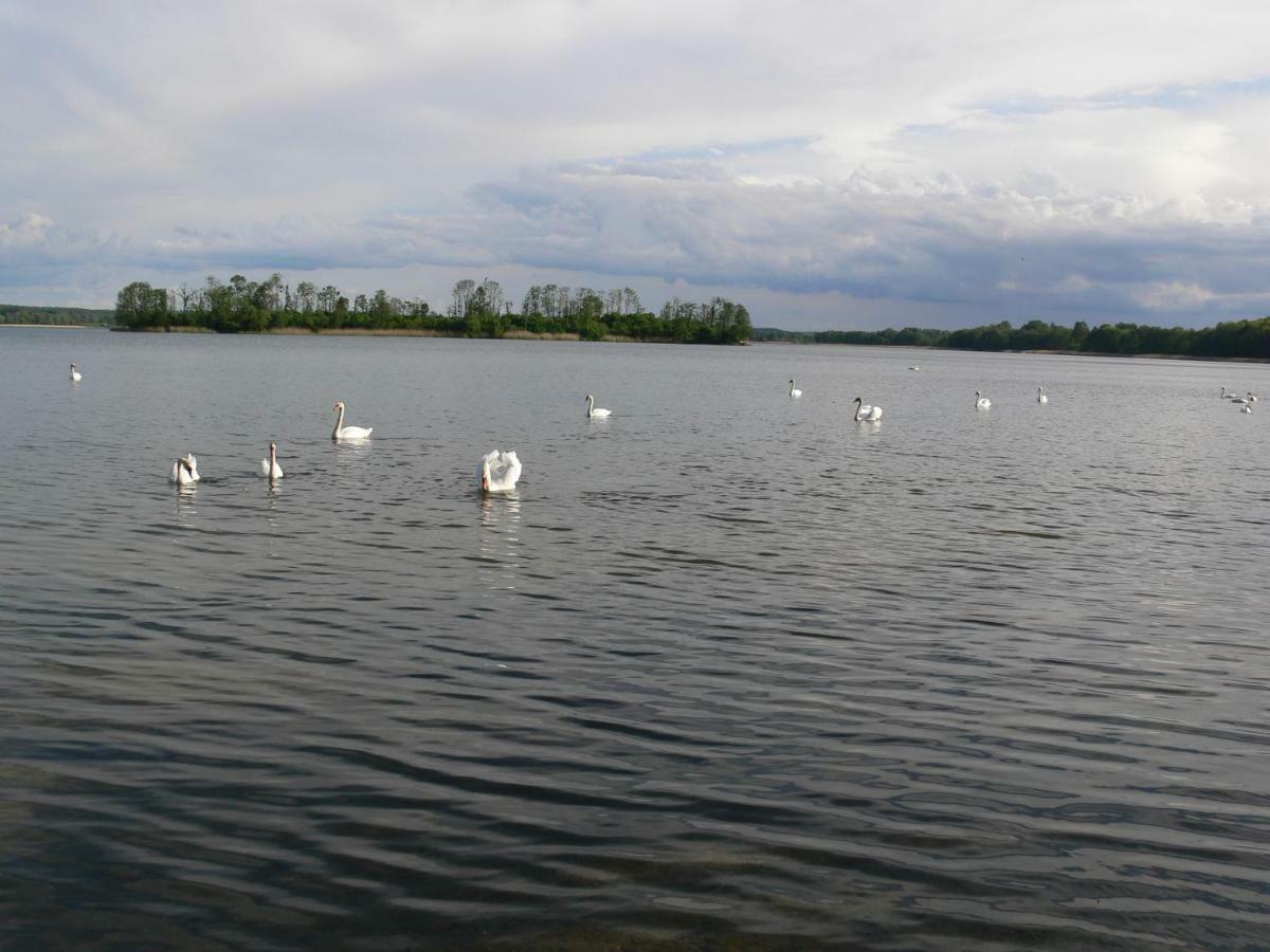 Willa Złota Leśniczówka Rydzowka Zewnętrze zdjęcie