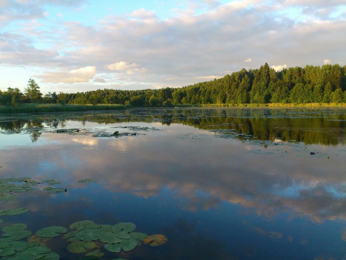 Willa Złota Leśniczówka Rydzowka Zewnętrze zdjęcie